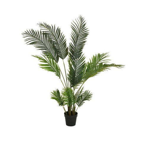 PIANTA DI PALMA H150